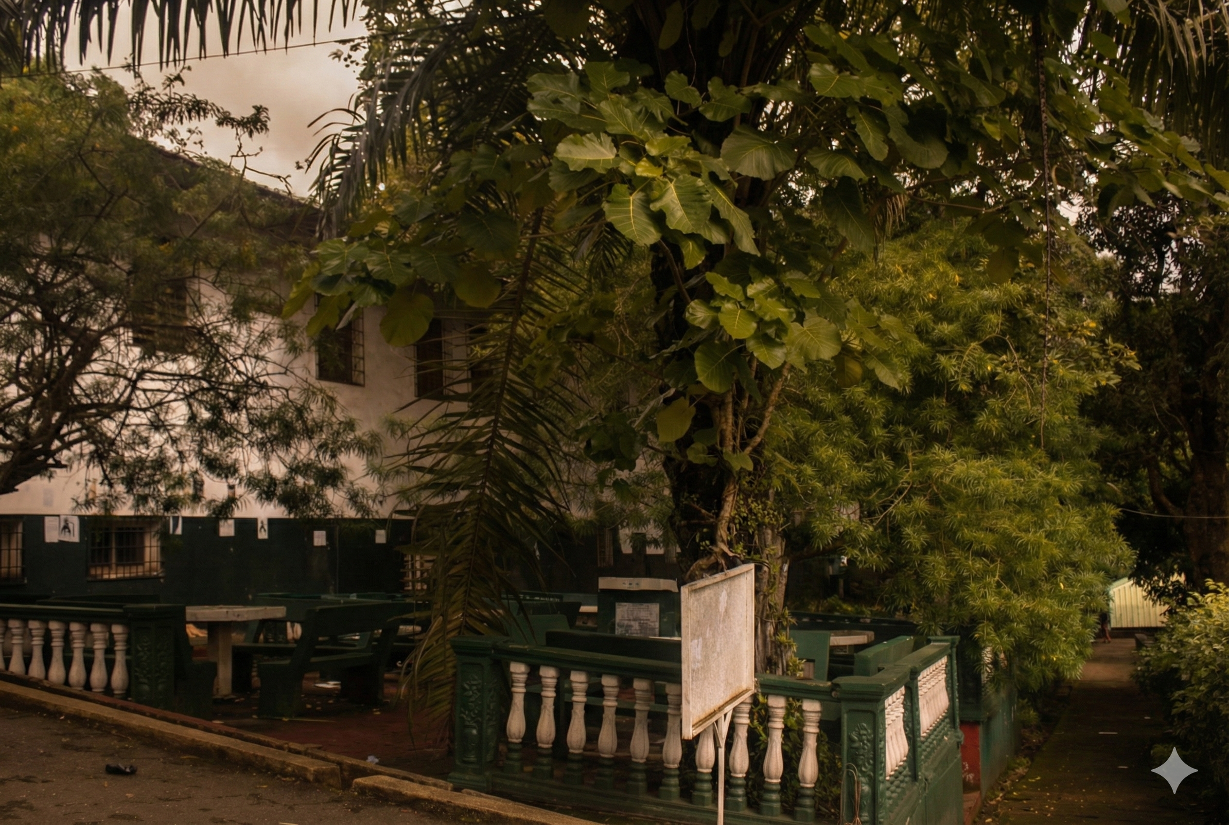 Afrivas dashboard view